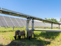 El Servicio de Evaluación Ambiental admitió este lunes a trámite “Parque Chanqueahue”.