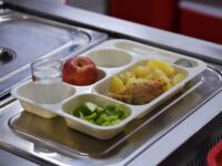 El informe de la Junta Nacional de Auxilio Escolar y Becas revela que la malnutrición por exceso alcanzó un 50,9% en el país. En O’Higgins, los resultados muestran un aumento respecto de 2023, consolidando una tendencia preocupante