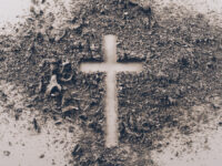 Se concentran durante la tarde. 