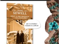 La obra de la escritora Carmen Gloria Herrera, quien firma bajo el seudónimo de Carmela Miranda, rescata a través de la ficción histórica la vida cotidiana y las historias humanas del emblemático campamento Sewell, invitando a lectores de todas las edades a reconectar con la identidad minera de la región.
