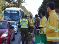 El despliegue combinó fiscalización vehicular y campaña preventiva contra incendios forestales.