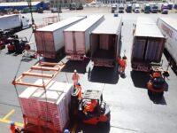 Productores locales enfrentan condiciones desiguales ante el giro decisivo de Washington, poniendo en riesgo a miles de empleos en provincias exportadoras.