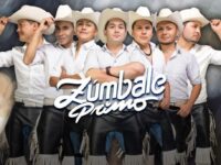 Peralillo y Coltauco celebrarán nuevas fiestas de la vendimia, mientras que Rancagua y Chimbarongo ofrecerán panoramas vinculados a la artesanía y los oficios tradicionales.
