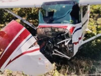 El accidente se registró en la Viña Santa Cruz. Una de las ocupantes fue trasladada al Hospital de Lolol para constatación de lesiones.
