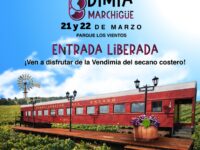 La celebración se realizará el 21 y 22 de marzo en el Parque Los Vientos 
