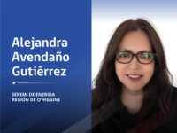 Ingeniera comercial asume el cargo con más de dos décadas de experiencia en el sector energético y productivo