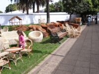 El evento gratuito reúne a artesanos mimbreros, emprendedores y espectáculos en su jornada final este domingo.