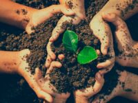 La fecha invita a la protección de los ecosistemas, reducir los impactos humanos y fomentar las prácticas sostenibles.