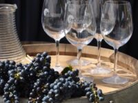 El evento se realizará el 21 y 22 de marzo con música, humor y tradiciones del secano costero.