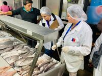 Las infracciones se cursaron en medio de un intenso y estricto plan de fiscalización en la antesala del fin de semana santo.