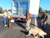 Con el apoyo del can detector de drogas “Marley”.