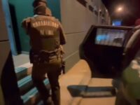 Carabineros recuperó 240 kilos de nueces que estaban siendo sustraídas. 