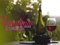 Programación incluye gastronomía, folclor, cumbia, K‑Pop y enología.