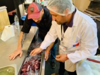 Previamente se realizaron reuniones con locatarios y organizadores, con el objetivo de orientar y fortalecer el cumplimiento normativo.