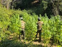 El hallazgo se produjo mientras personal policial realizaba patrullajes preventivos en el sector Santa Teresa, en el contexto de servicios por incendios forestales.