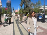 El despliegue policial se realizó en las tres provincias de la región y estuvo enfocado en la captura de prófugos de la justicia. La mayoría de los detenidos corresponde a adultos, hombres y de nacionalidad chilena.
