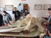 Por trabajos de renovación museográfica. 