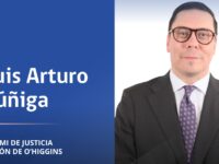 Ha ejercido de manera independiente y también en el ámbito notarial, desempeñándose como notario, conservador de bienes raíces y archivero judicial.