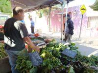 Piden más fiscalización, seguridad y mantener programas de apoyo mientras temen un invierno “súper duro” para la ciudadanía.