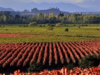 La fecha mantiene el debate sobre las brechas estructurales que aún mantienen las regiones respecto de Santiago.