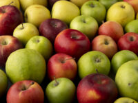 El embarque incluyó un total de 1.274 cajas de distintas variedades.