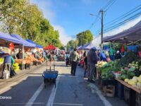 Contratos omitidos y presupuestos aprobados contradicen la postura oficial del municipio ante la Corte de Apelaciones de Rancagua, dejando al descubierto el plan de mudanza definitiva que mantiene en alerta a los feriantes de Manso de Velasco.