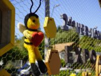 La jornada reunió a productores, familias y visitantes en torno a la miel local.