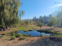 Contempla equipamiento comunitario, multicancha, juegos y estacionamientos.