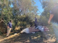 Las personas involucradas ya habían sido desalojadas previamente desde otros puntos de la comuna.
