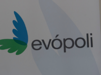 El dictamen del Tricel fue idéntico para la Federación Regionalista Verde Social, que también mantendrá su vigencia.