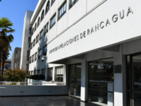 Fallo del tribunal de alzada de Rancagua acreditó fallas preventivas del contratista y deber de control de Codelco.