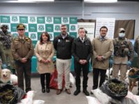 Autoridades regionales destacaron la coordinación entre instituciones para enfrentar este tipo de delitos.