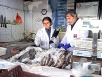 En 220 fiscalizaciones en distintos puntos de la región. 