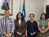 Además de otras acciones orientadas a fortalecer el acceso a la cultura. 