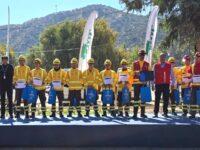 La jornada, realizada en el  el Parque La Puntilla de la comuna de San Vicente de Tagua Tagua, contó con la presencia de cerca de 450 brigadistas de CONAF.