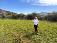 Gracias al acceso a tecnologías de riego promovidas por la Comisión Nacional de Riego (CNR) del Ministerio de Agricultura.