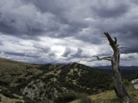 Se esperan mínimas de 5 grados para zonas de la región. 