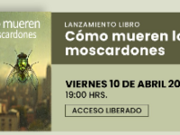 La obra propone una historia centrada en las tensiones de pareja en medio del inicio de la pandemia.
