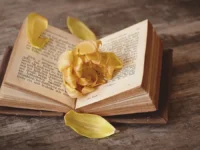 El evento será el 24 de abril en la escuela Mónica Silva Gómez de la comuna.