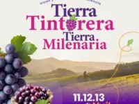 El corazon de la comuna se convertirá este fin de semana en el epicentro del patrimonio vitivinícola de O'Higgins, con viñas locales, stands de gastronomía, maridaje y artesanía durante tres jornadas bajo concepto boutique.
