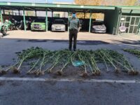 El procedimiento se originó a partir de una investigación de la SIP de Carabineros junto a la Fiscalía Local.