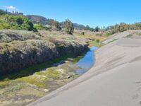 La faena busca reducir riesgo de inundaciones en predios cercanos.