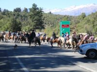 Jinetes de todas las edades recorrieron ruta histórica en la precordillera de O’Higgins.  