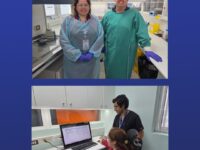 Este acontecimiento permitió optimizar los espacios del laboratorio clínico, mejorar la bioseguridad y agilizar el procesamiento de muestras para las provincias de Colchagua y Cardenal Caro.
