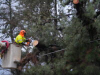 La Compañía reforzará sus centros de operación, atención a clientes y número de brigadas en terreno para atender posibles interrupciones que afecten el suministro eléctrico. Asimismo, recuerda que se dispone de un teléfono exclusivo de atención especializada para los pacientes electrodependientes: 800 203 180.
