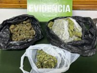 Fue aprehendida tras intentar evadir una fiscalización vehicular. 