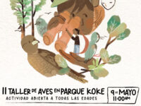 El programa contempla la charla “Conociendo la avifauna de Chile y de Parque Koke”, a cargo del ornitólogo Francisco Fadel.