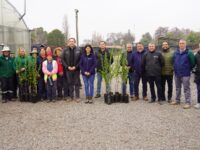 La reunión permitió abordar el desarrollo del Programa Pro Empleo, el trabajo del vivero de Chomedahue y nuevas iniciativas orientadas al cuidado de áreas verdes y espacios comunitarios.