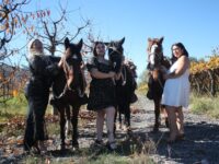 Contarán con acceso a distintas jornadas de preparación antes de la gala final. Entre las actividades contempladas figuran clases de pasarela, oratoria, automaquillaje, defensa personal, sesiones fotográficas y trabajo con nutricionista y actor.