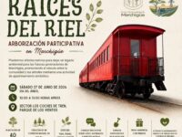 Especies nativas como tara, peumo, quillay y maitén darán forma al nuevo corredor verde del Parque de los Vientos.